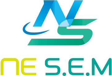 NESEM